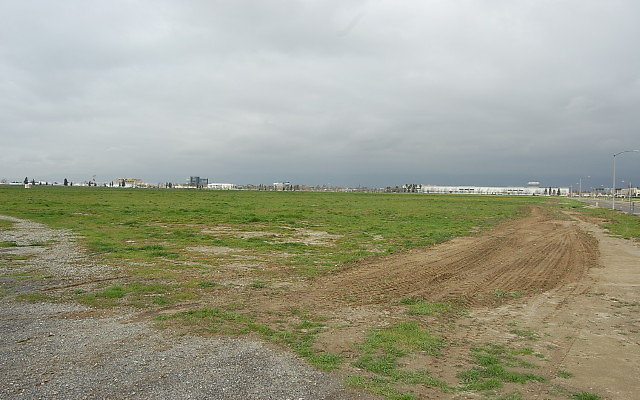 DSC 0089