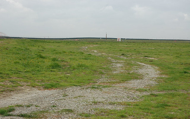DSC 0090