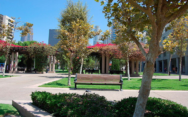 DSC 0009