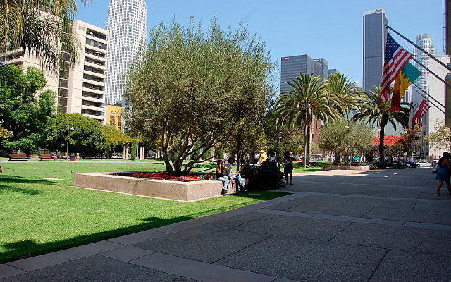 DSC 0061