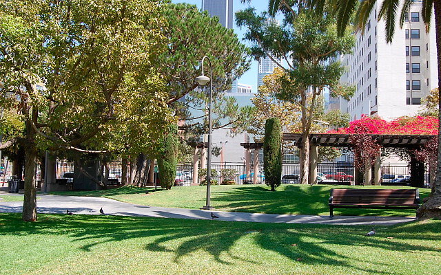 DSC 0036