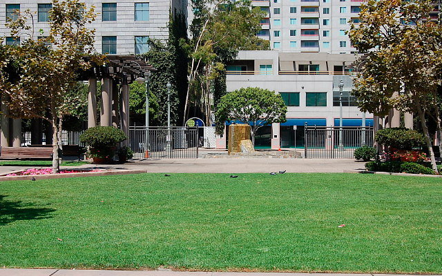DSC 0004