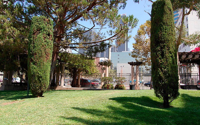 DSC 0044