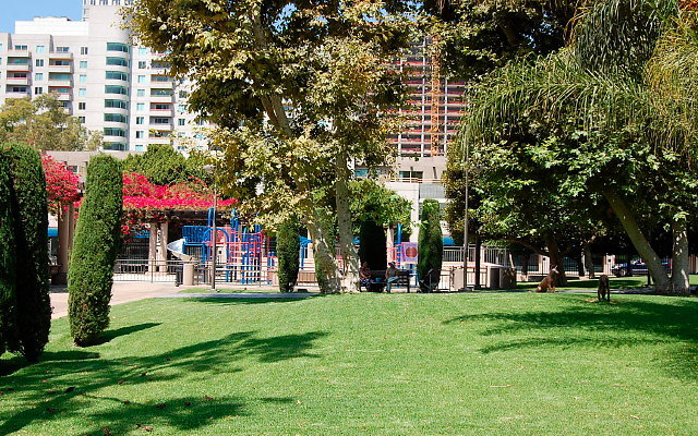 DSC 0062