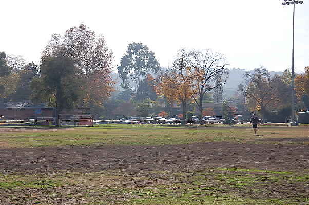 DSC 0011