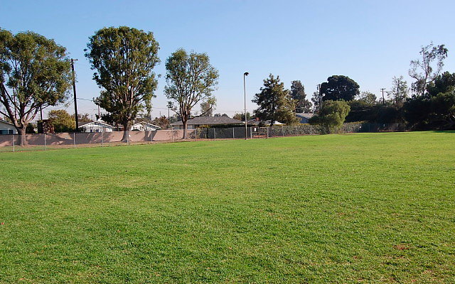 DSC 0395