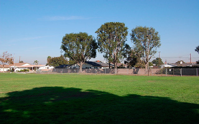 DSC 0409