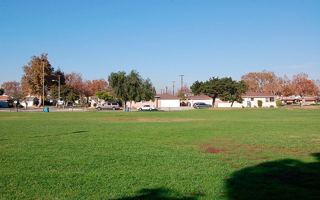 DSC 0408