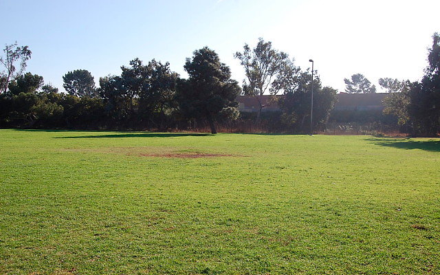 DSC 0396