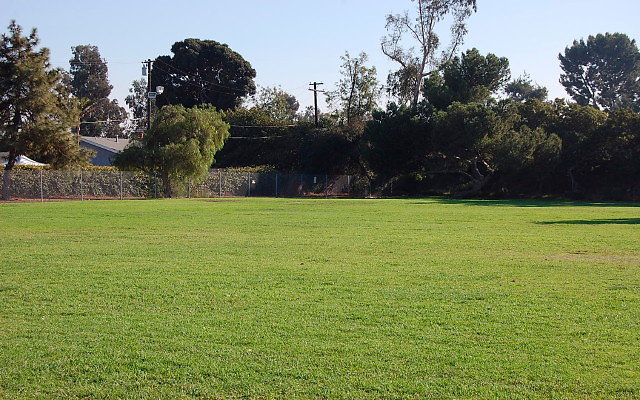 DSC 0398