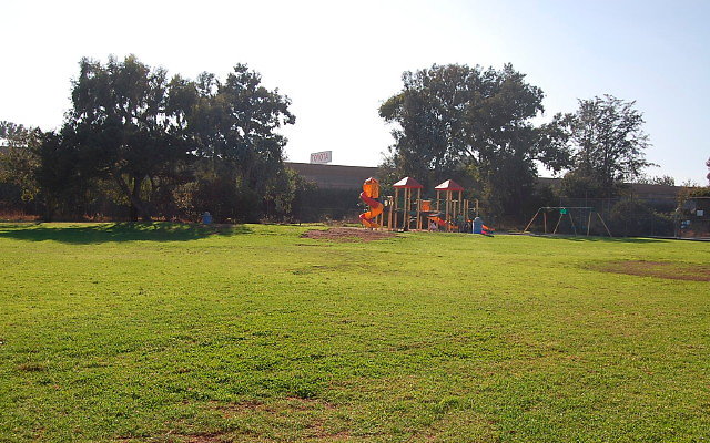 DSC 0397