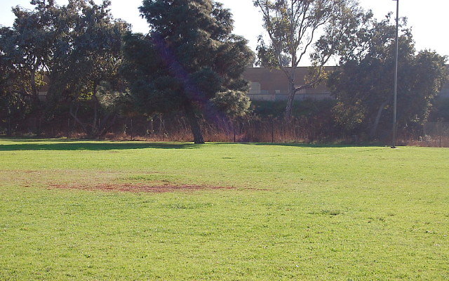 DSC 0399