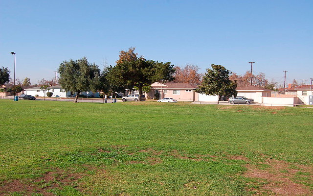 DSC 0403