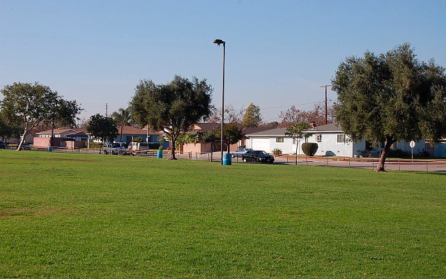 DSC 0406