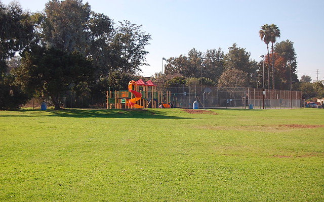 DSC 0405
