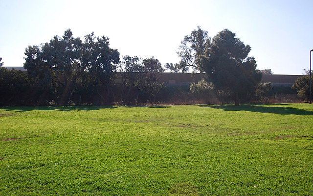 DSC 0401
