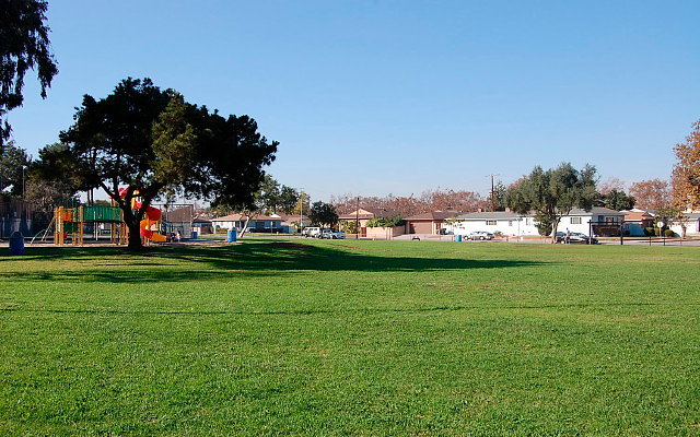 DSC 0407