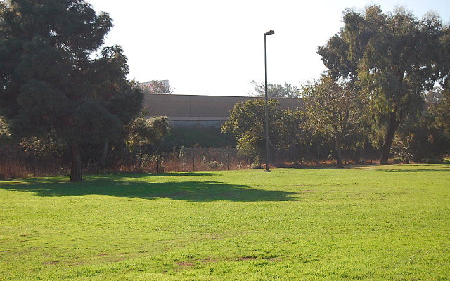 DSC 0404