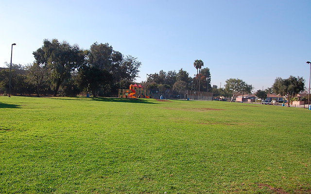 DSC 0402