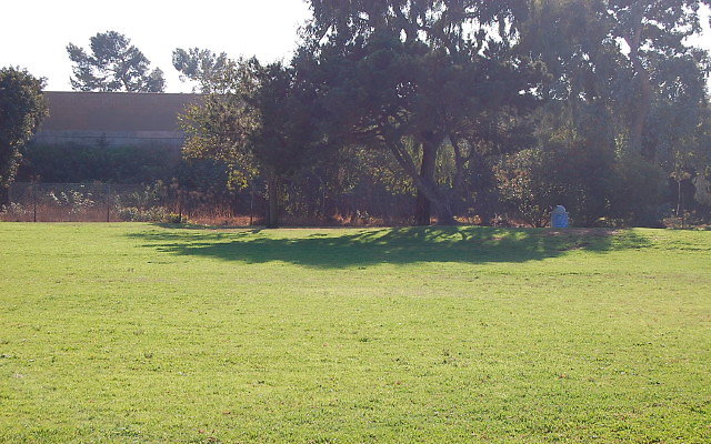 DSC 0400