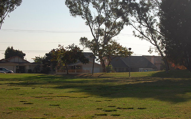 DSC 0450