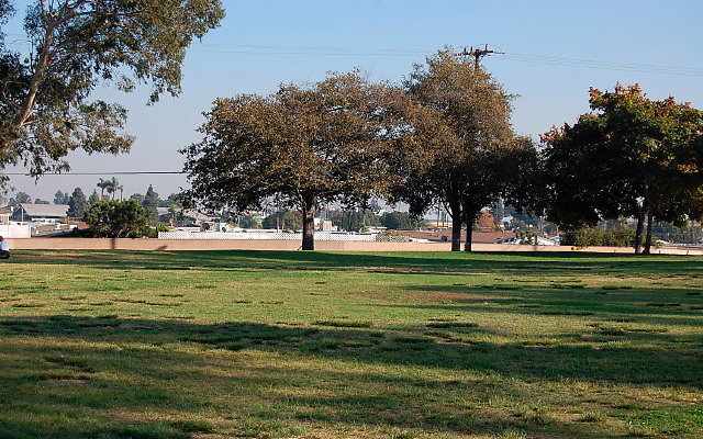 DSC 0436
