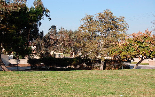 DSC 0427