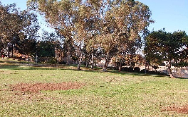 DSC 0418