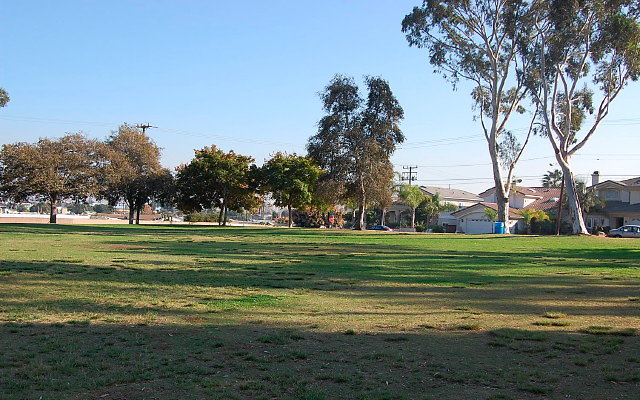 DSC 0433