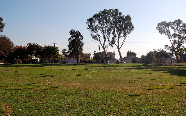 DSC 0446