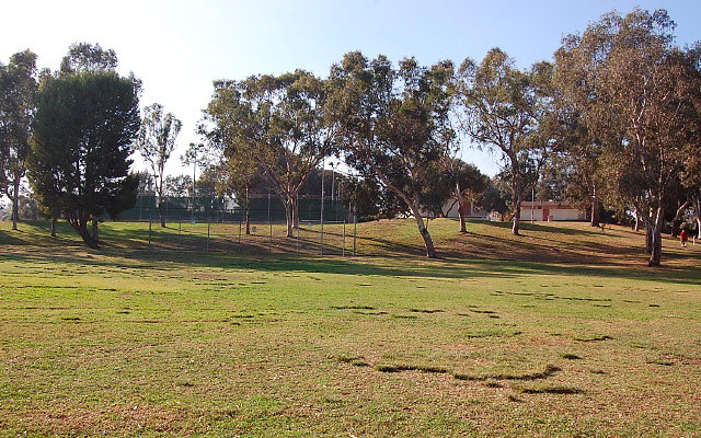 DSC 0417