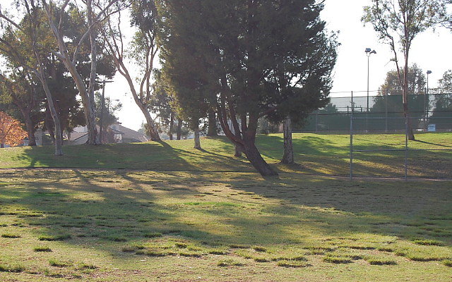 DSC 0422