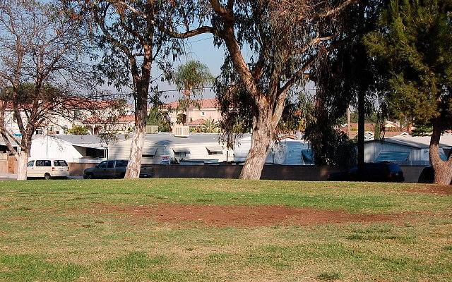 DSC 0428