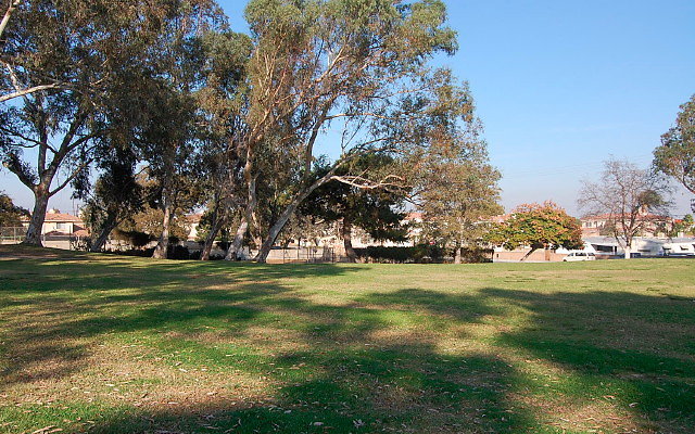 DSC 0431