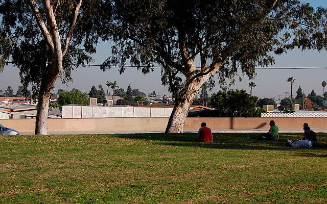 DSC 0430
