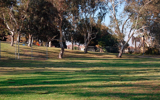 DSC 0441