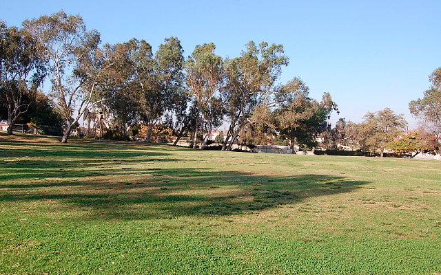DSC 0439