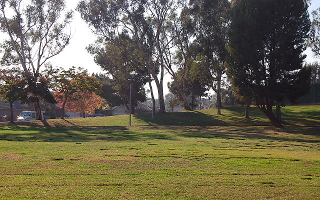 DSC 0419