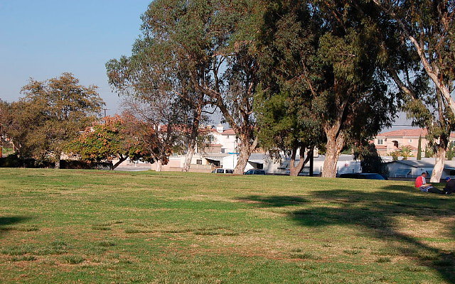 DSC 0443