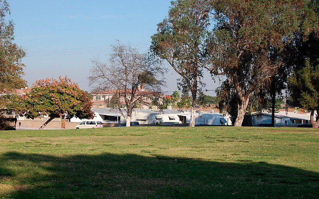 DSC 0434