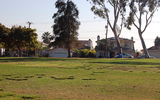 DSC 0449