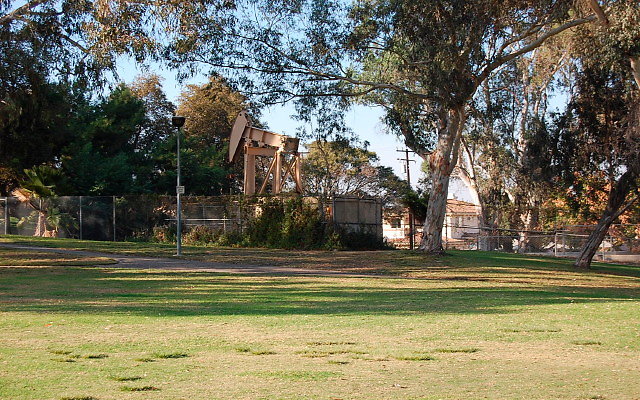DSC 0425