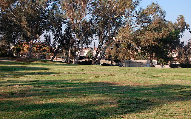 DSC 0442