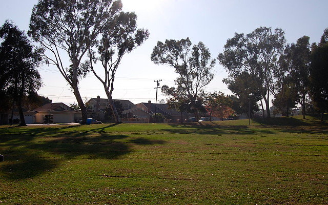 DSC 0416