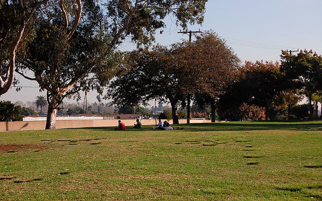 DSC 0448