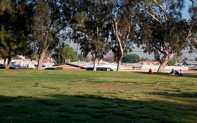 DSC 0435