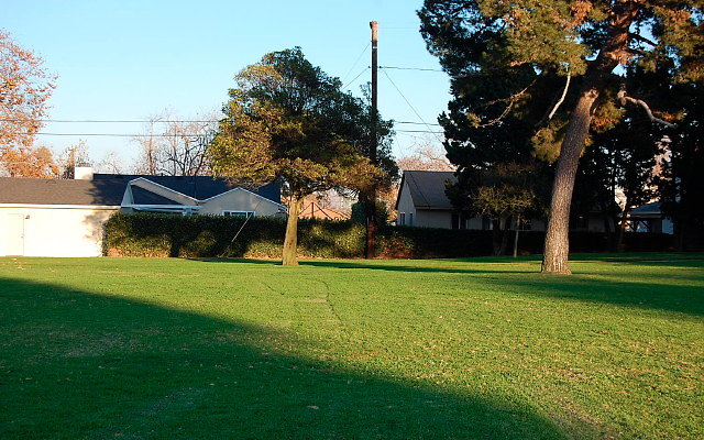 DSC 0622