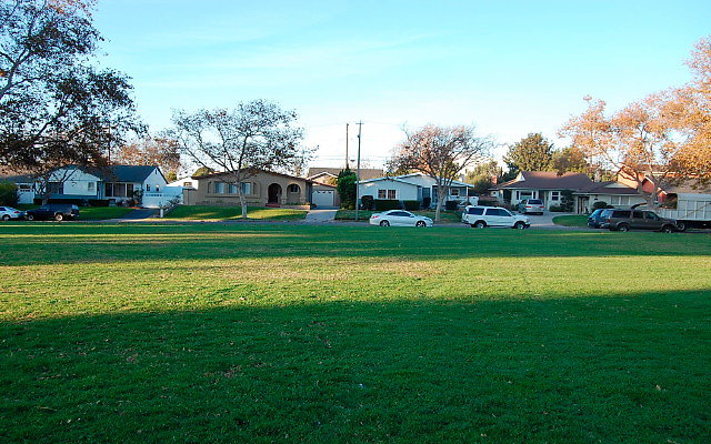 DSC 0612