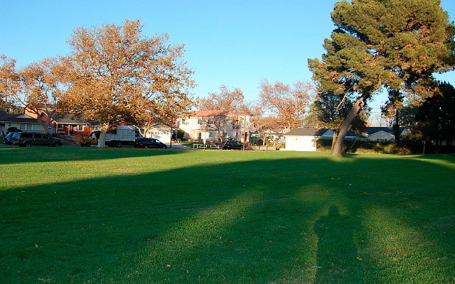 DSC 0613