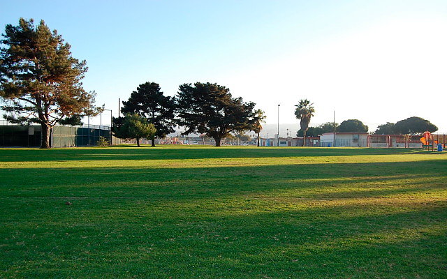 DSC 0631